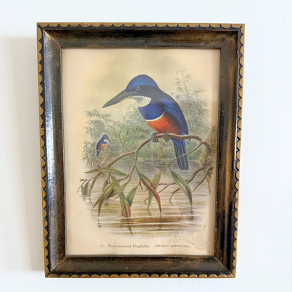 Blooms, Birds and Butterflies Vintage Gallery Wall - Signed Prints & Painted Plates 42" x 30"