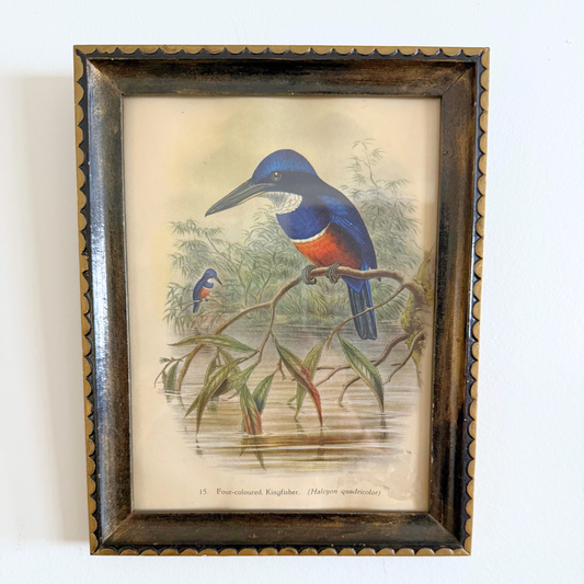 Blooms, Birds and Butterflies Vintage Gallery Wall - Signed Prints & Painted Plates 42" x 30"