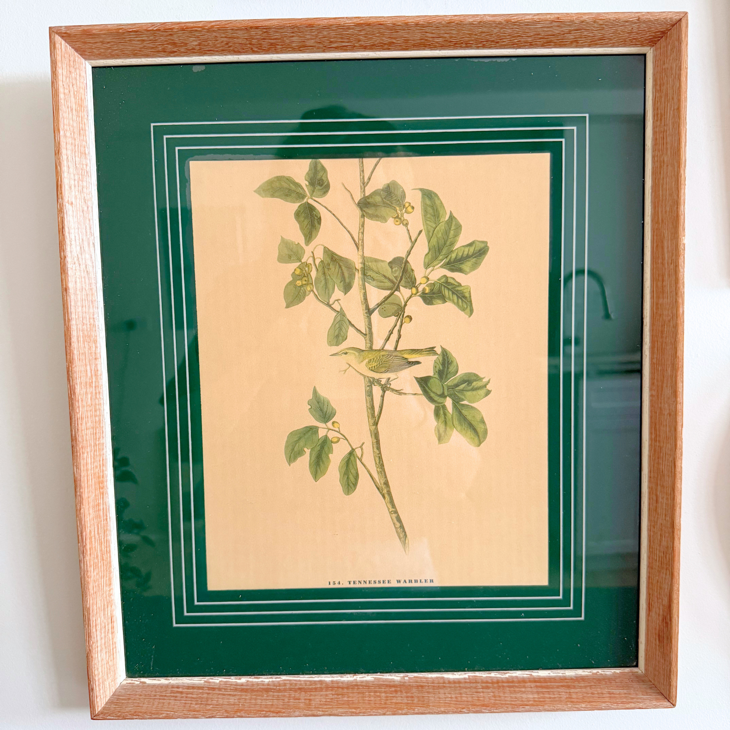 Blooms, Birds and Butterflies Vintage Gallery Wall - Signed Prints & Painted Plates 42" x 30"