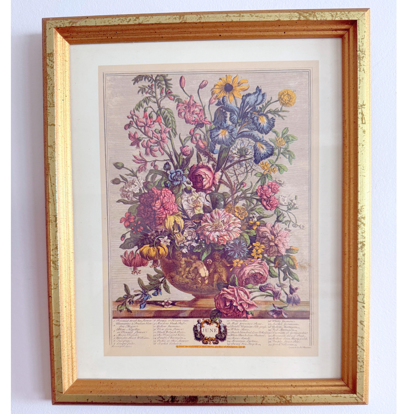 Blooms, Birds and Butterflies Vintage Gallery Wall - Signed Prints & Painted Plates 42" x 30"