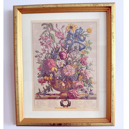 Blooms, Birds and Butterflies Vintage Gallery Wall - Signed Prints & Painted Plates 42" x 30"