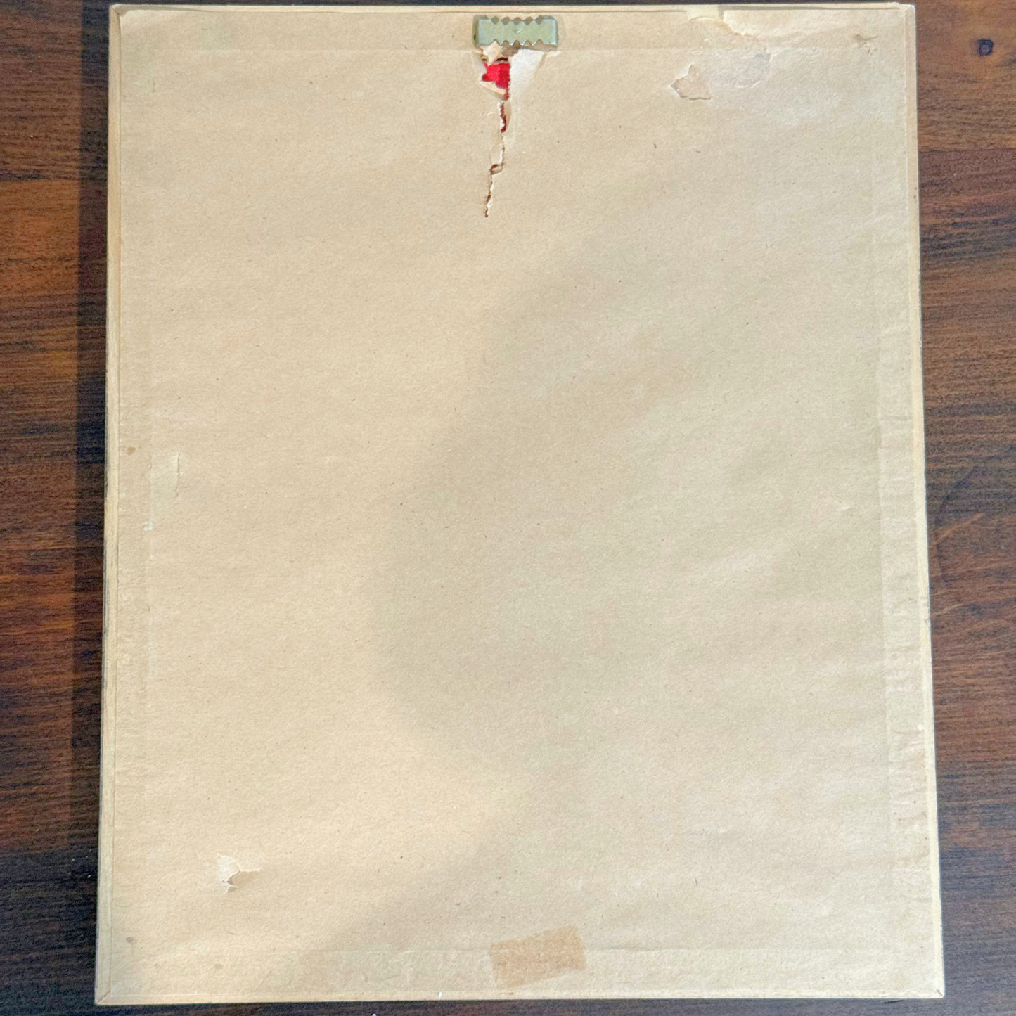 Blooms, Birds and Butterflies Vintage Gallery Wall - Signed Prints & Painted Plates 42" x 30"