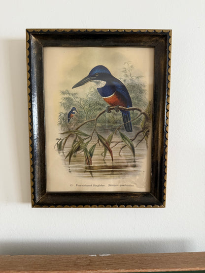 Blooms, Birds and Butterflies Vintage Gallery Wall - Signed Prints & Painted Plates