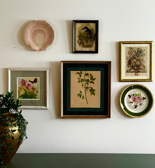 Blooms, Birds and Butterflies Vintage Gallery Wall - Signed Prints & Painted Plates