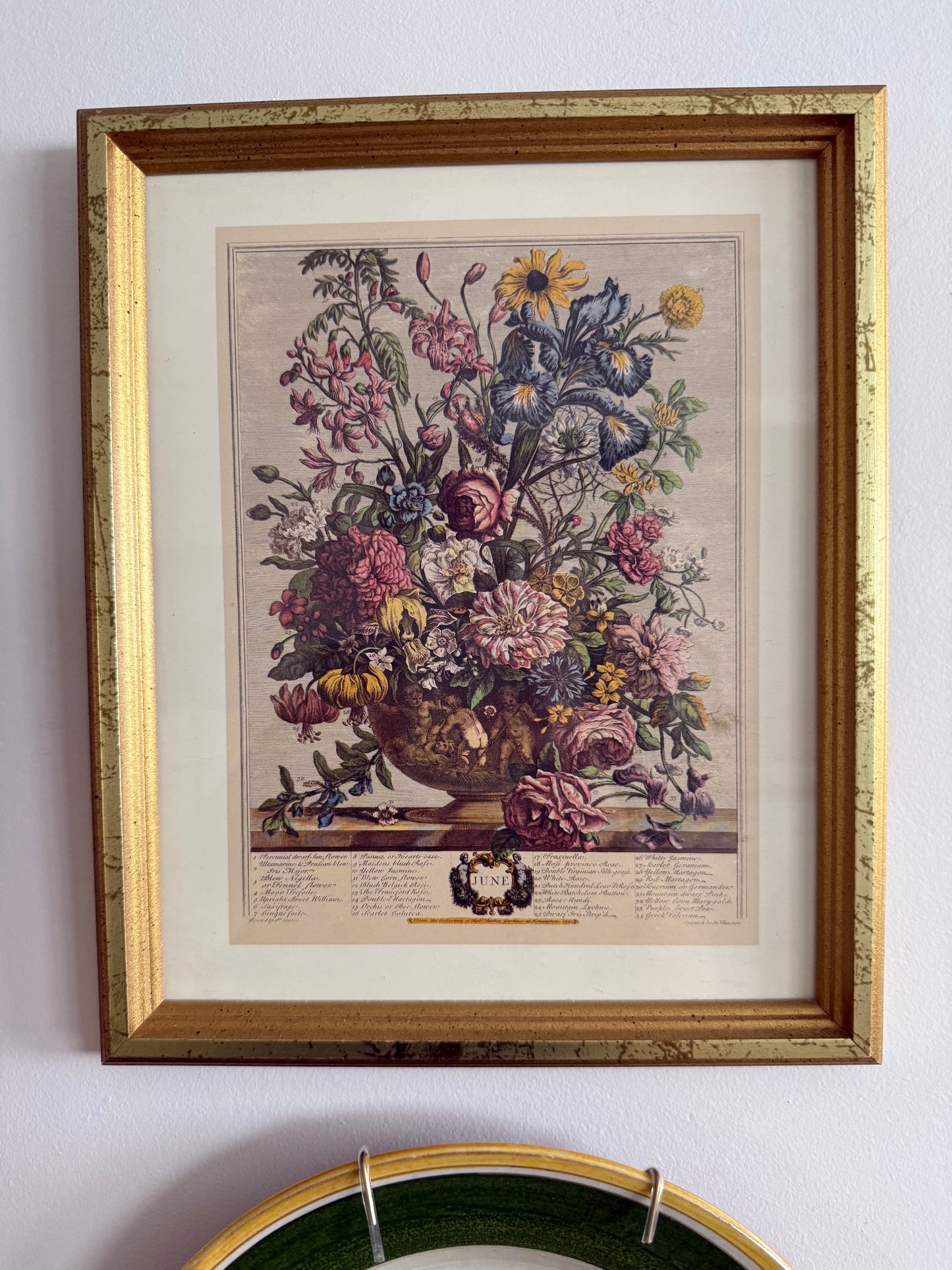 Blooms, Birds and Butterflies Vintage Gallery Wall - Signed Prints & Painted Plates