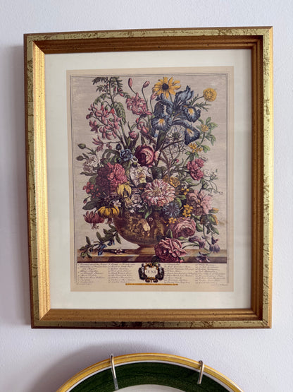 Blooms, Birds and Butterflies Vintage Gallery Wall - Signed Prints & Painted Plates